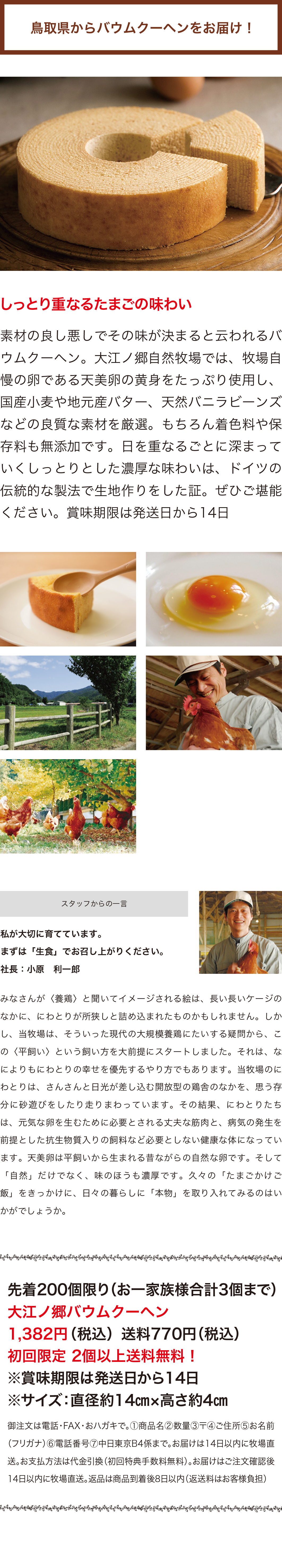 =大江ノ郷