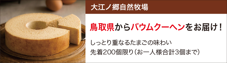 250408_09oenosatotop_new.jpg